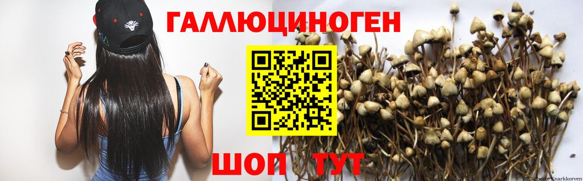 купить   Вход с VPN  Сочи  Галлюциногенные грибы GOLDEN TEACHER 