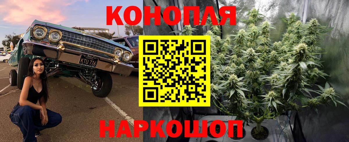 Сочи  МАРИХУАНА THC 21%  Марихуана OG Kush  Вход с VPN  Шишки марихуана семена  Конопля MAZAR 